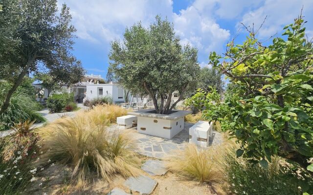 Sunlight Naxos Studio