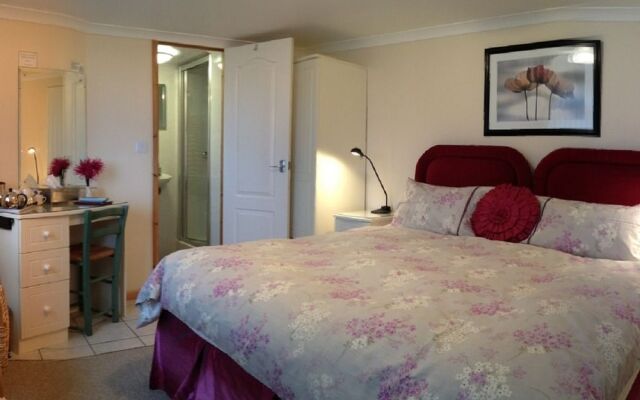 Bacchus - Rooms with a View