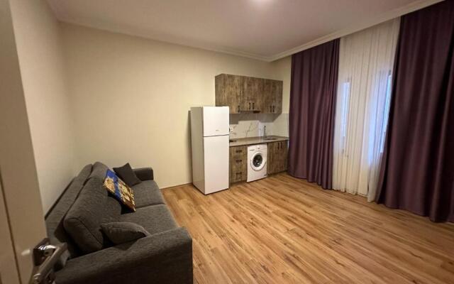 Roj Suite