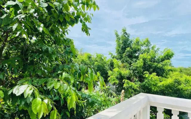 Rice River Villa - Hoi An