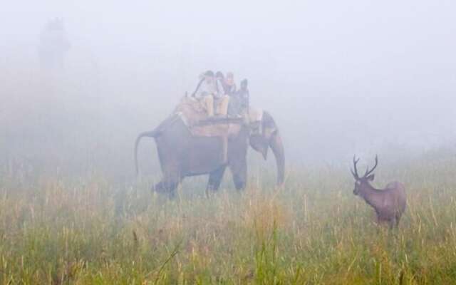 The Rangers Reserve - Corbett