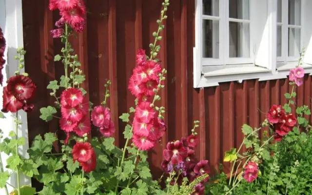 Spangagarden Bed And Breakfast