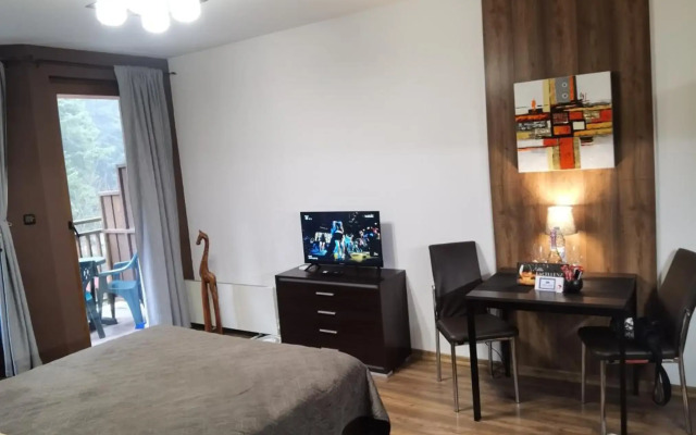 Studio Iceberg Borovets Студио с кухня