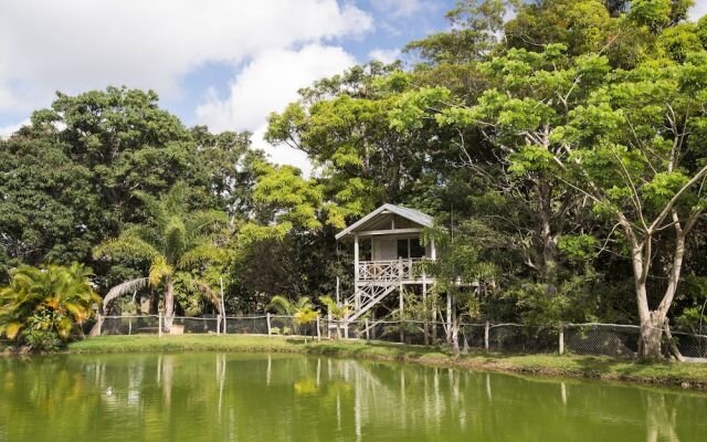 Farino Lodge