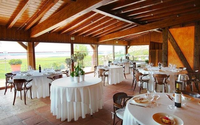 Chateau Pago De Cirsus