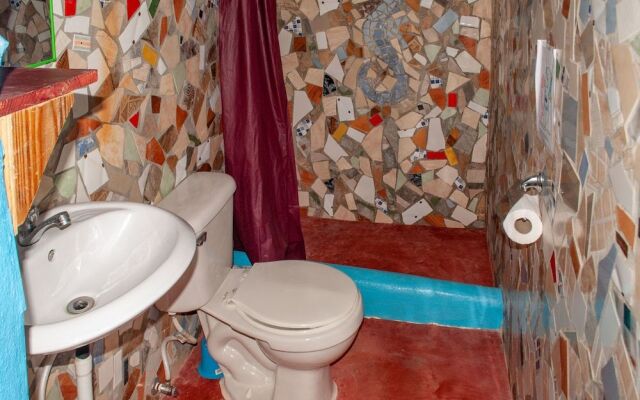 Hostel La Ballena Backpacker