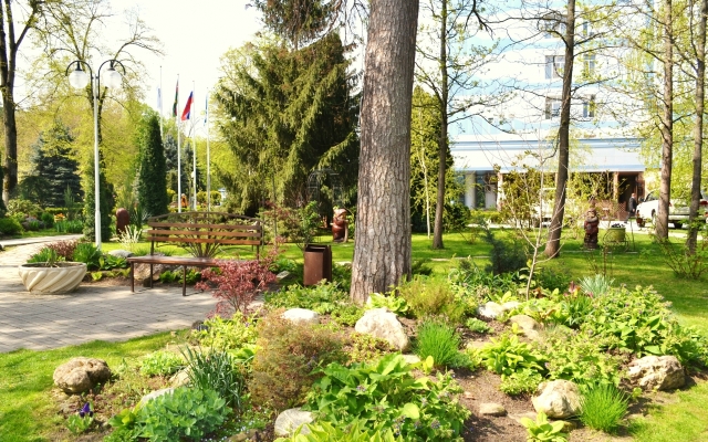 Предгорье Кавказа