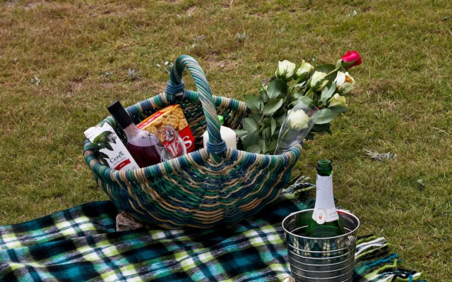 First Group Desert Rose