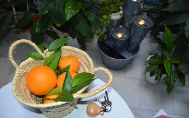 El Jardín de Romero Barros.