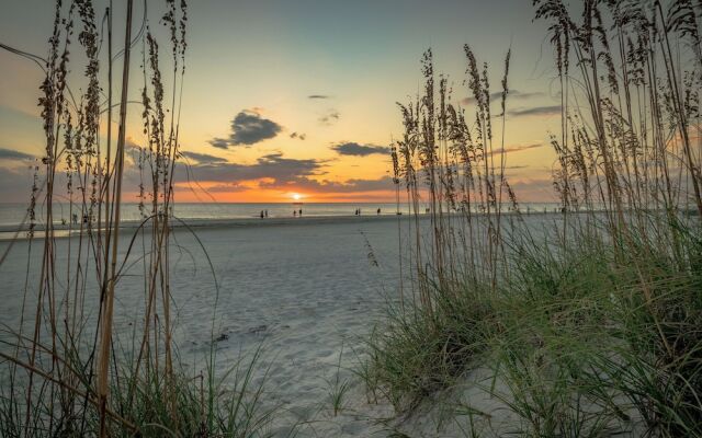 Spinnakers Reach 833