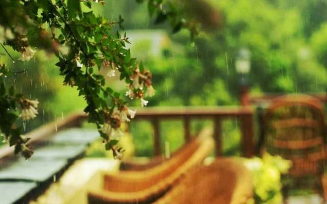 Blossoms Village Resort