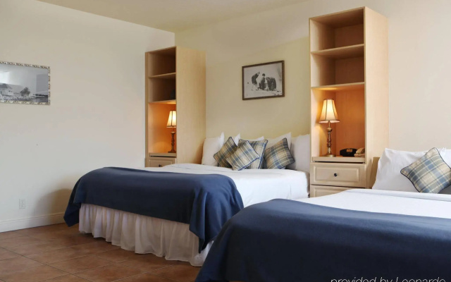 Bridgewalk Resort