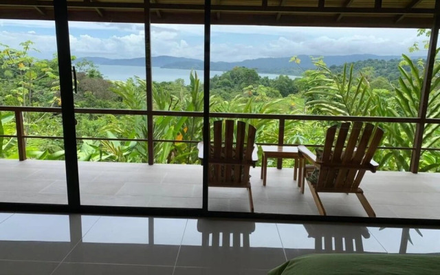 Drake Bay Greenleaf