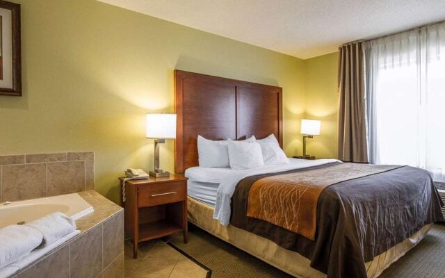 Comfort Inn & Suites Black River Falls