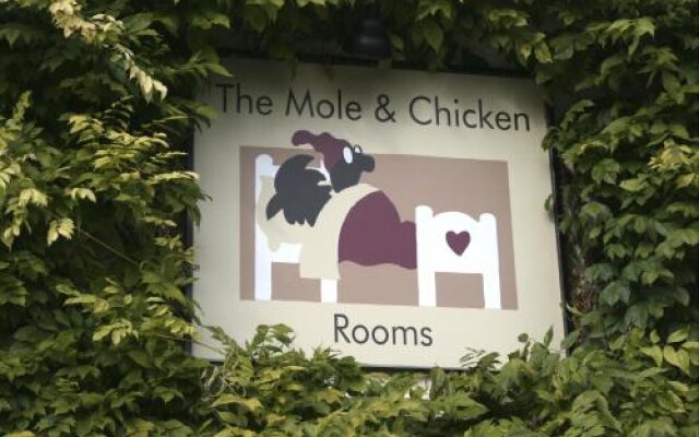 The Mole & Chicken