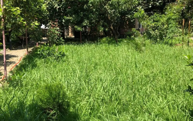 Villa la familia