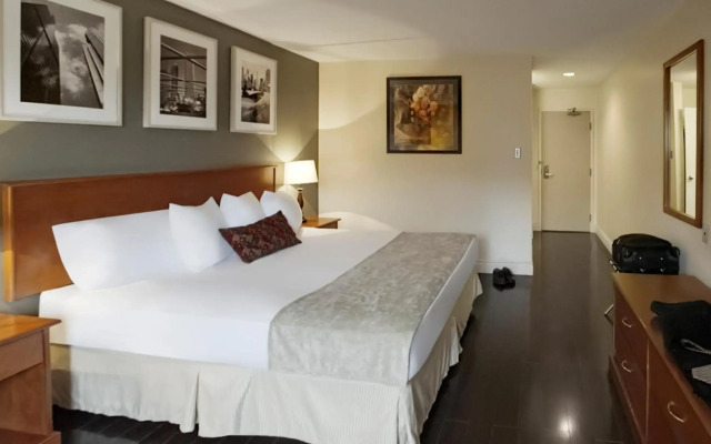 Park Inn by Radisson, Sydney