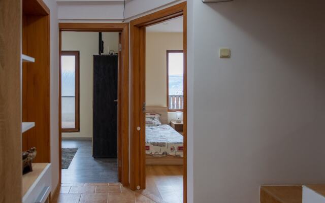 Guest house Viki