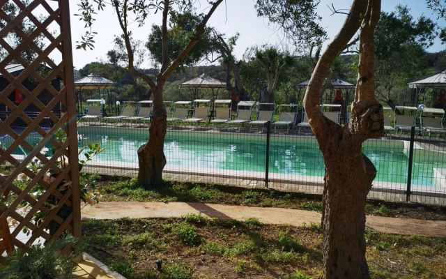 la corte degli ulivi