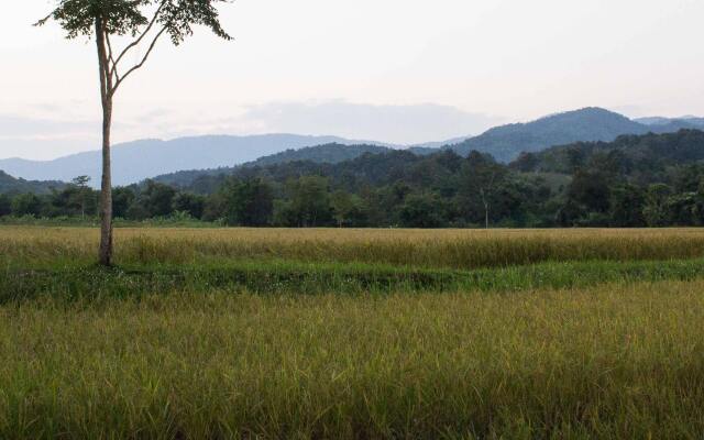 Bambuh Boutique Homestay