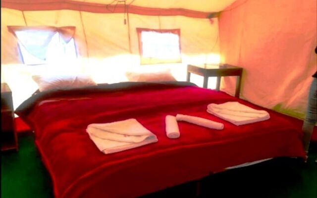 Camp Delight Camp Ullay