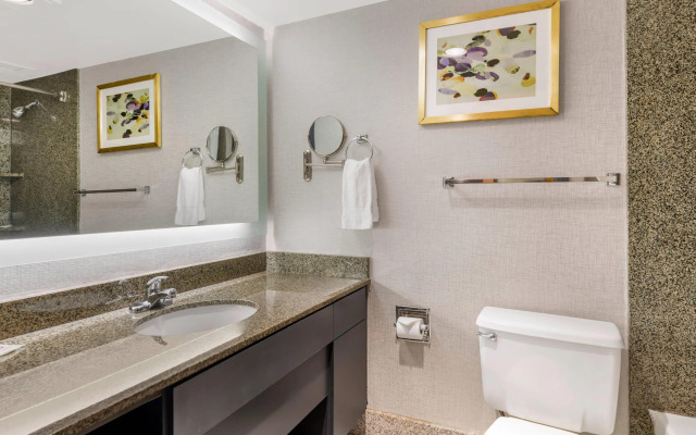 Comfort Inn Brooklyn Center