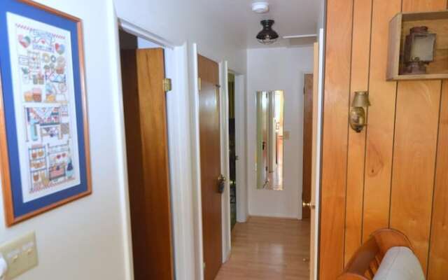 Chesnutt Cabin on the Cacapon River