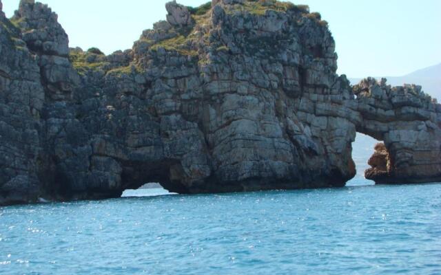 Casetta sull'Albero, Girasole