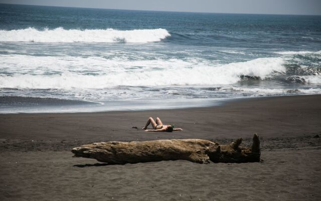 The Driftwood Surfer