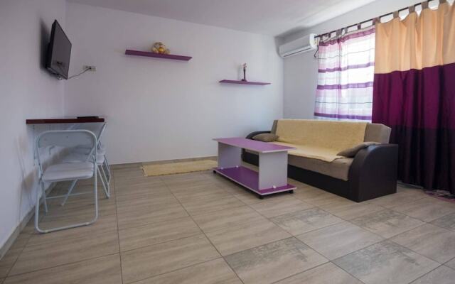Captivating 1-bed Studio in Roșu