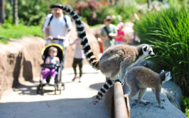 Casa Vacanza Giaveno - 8 Km Sacra di San Michele