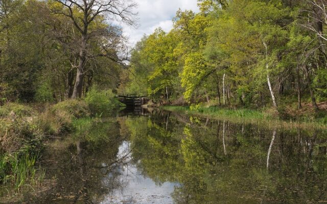 Oakdale at Abingdon Court