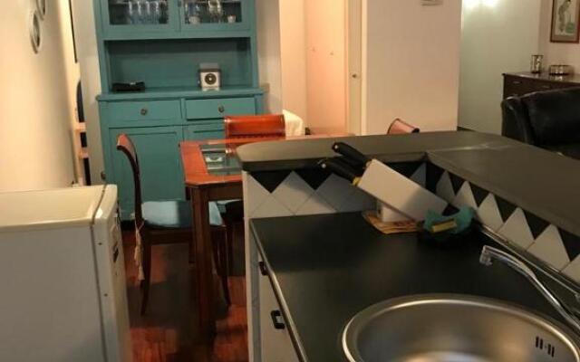 Gatto Bianco Bergamo 9