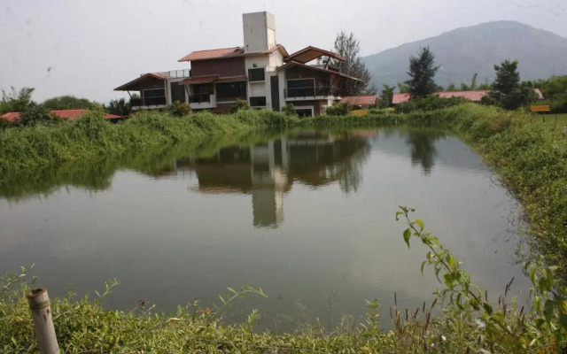 The Ark Wellness Retreat