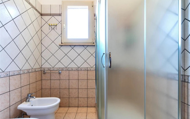 1069 Girasole Trilo 1 by Barbarhouse