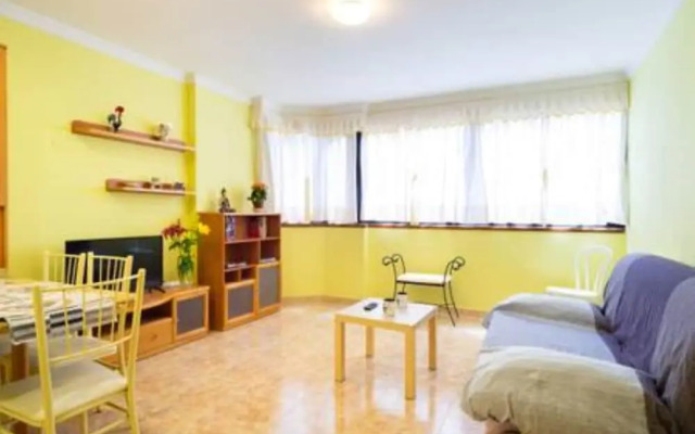 Sea Stars Las Canteras