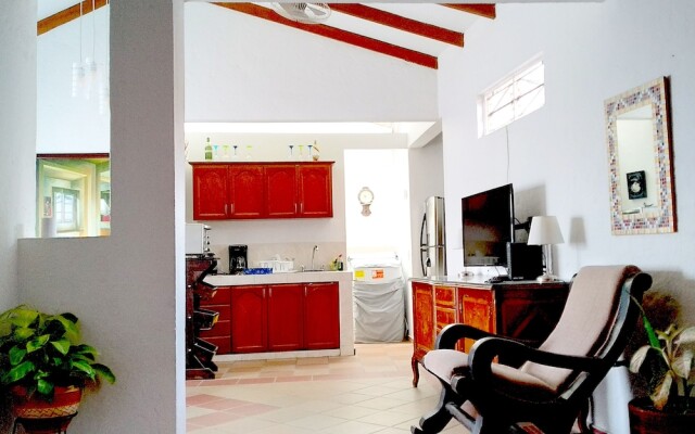 Gourmet & Cultural San Antonio