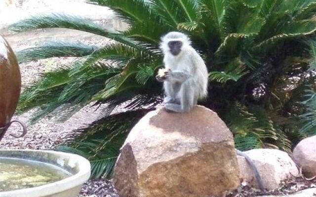 Marloth Kruger Lodges