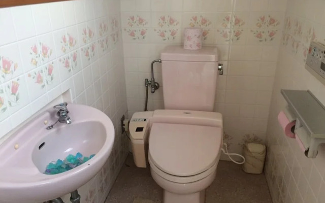 Gourmet Pension Aoiumi