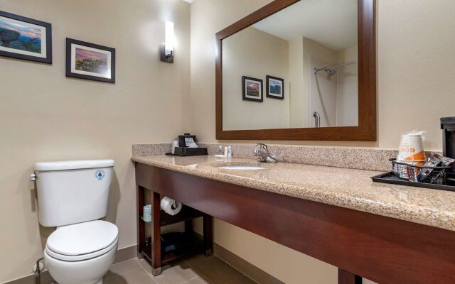 Comfort Suites Pell City