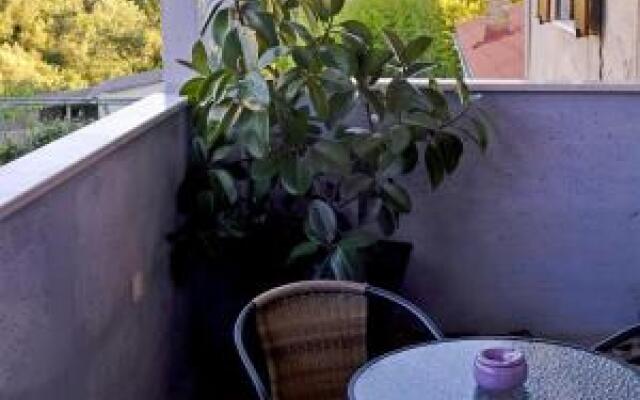 Apartment Fojba