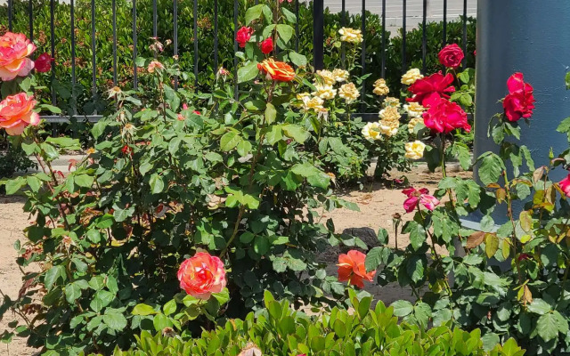 SureStay Hotel by Best Western Chowchilla Yosemite