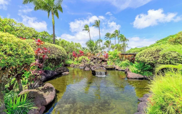 Napili Shores F246