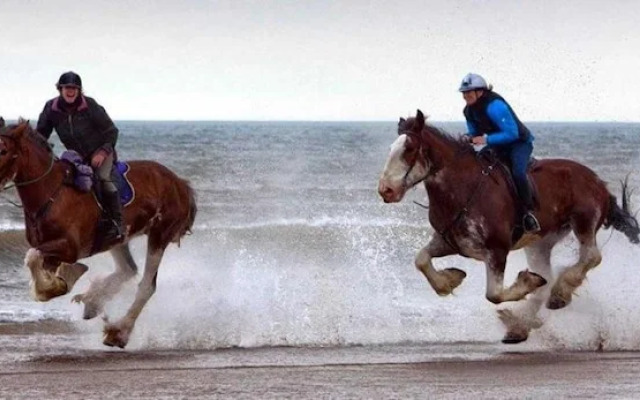 3 Bed Lodge - Sleeps 6 - Parking - Pets - Wifi