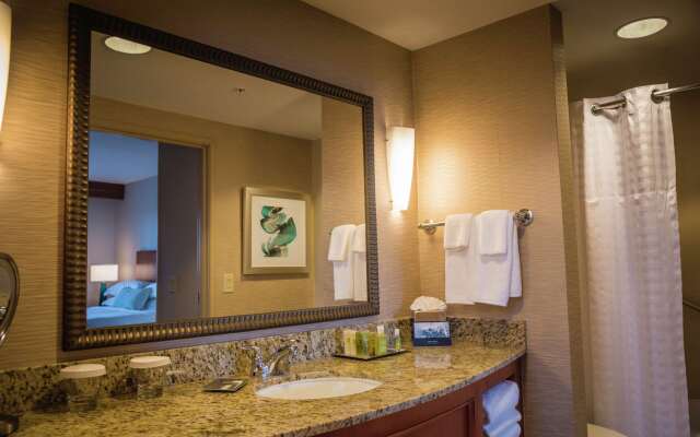 Hilton St. Petersburg Carillon Park