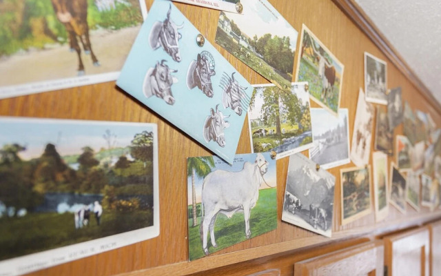 The Wildflower - Walk Everywhere Downtown