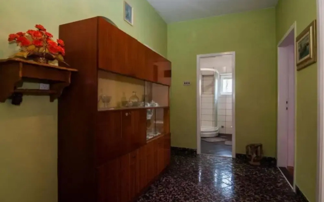 Seaside Oasis Apartments on Island Ugljan