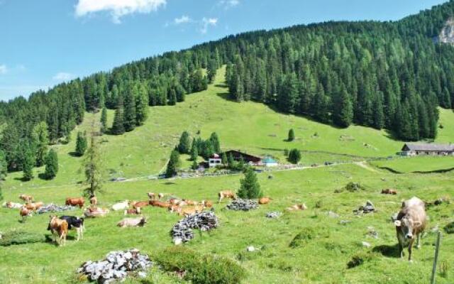 Berggasthaus Höllensteinhütte