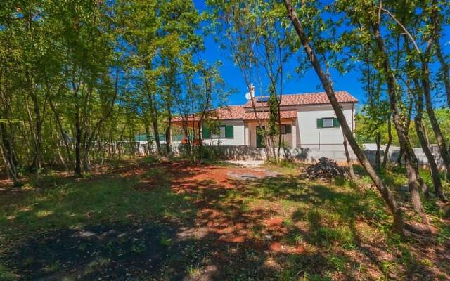 Gorgeous Villa in Belavici With Swimming Pool