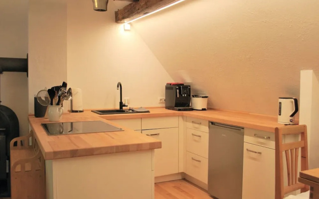 Chic Apartment in Thuringia With Sauna